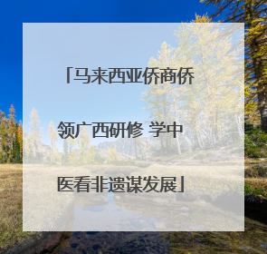 马来西亚侨商侨领广西研修 学中医看非遗谋发展