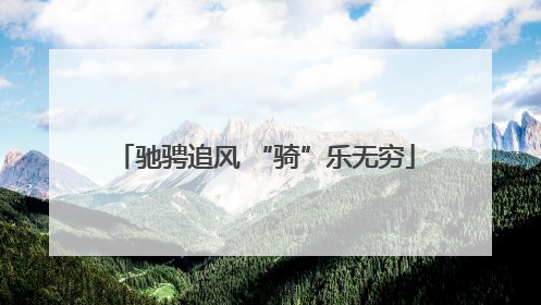 驰骋追风 “骑”乐无穷