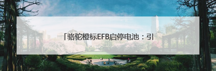 骆驼橙标EFB启停电池：引领高性价比启停电池新选择