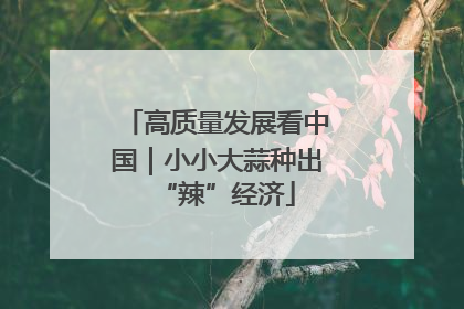 高质量发展看中国｜小小大蒜种出“辣”经济
