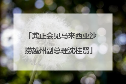 龚正会见马来西亚沙捞越州副总理沈桂贤
