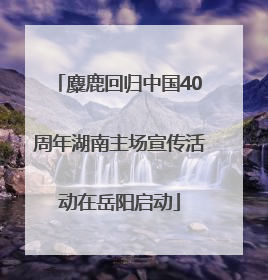 麋鹿回归中国40周年湖南主场宣传活动在岳阳启动