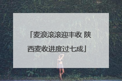 麦浪滚滚迎丰收 陕西麦收进度过七成