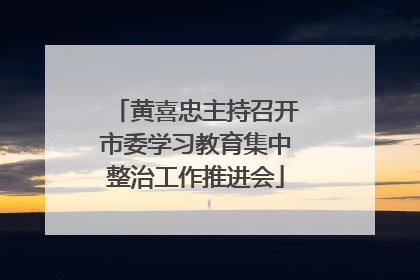 黄喜忠主持召开市委学习教育集中整治工作推进会