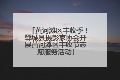 黄河滩区丰收季！郓城县摄影家协会开展黄河滩区丰收节志愿服务活动