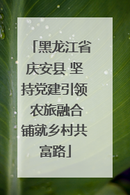 黑龙江省庆安县 坚持党建引领 农旅融合铺就乡村共富路