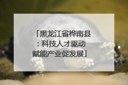 黑龙江省桦南县：科技人才驱动 赋能产业促发展