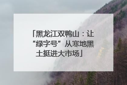 黑龙江双鸭山：让“绿字号”从寒地黑土挺进大市场