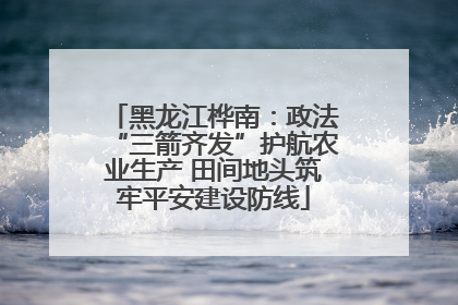 黑龙江桦南：政法“三箭齐发”护航农业生产 田间地头筑牢平安建设防线