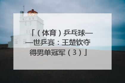 （体育）乒乓球——世乒赛：王楚钦夺得男单冠军（3）