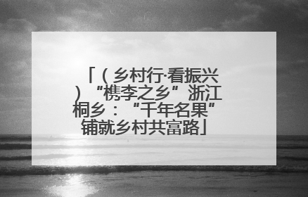 （乡村行·看振兴）“槜李之乡”浙江桐乡：“千年名果”铺就乡村共富路