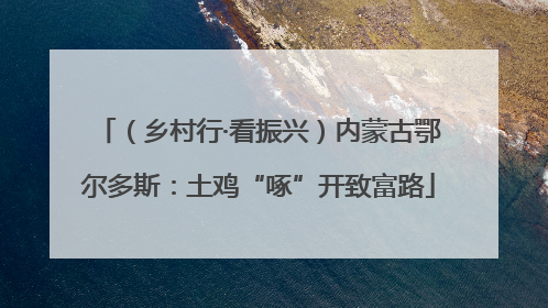 （乡村行·看振兴）内蒙古鄂尔多斯：土鸡“啄”开致富路