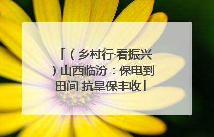 （乡村行·看振兴）山西临汾：保电到田间 抗旱保丰收