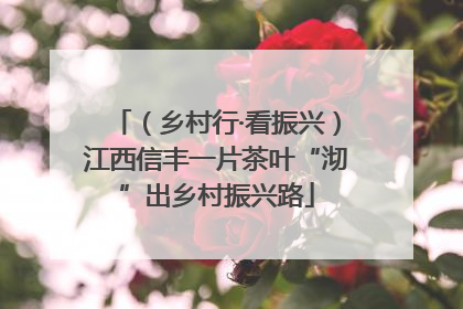 （乡村行·看振兴）江西信丰一片茶叶“沏”出乡村振兴路