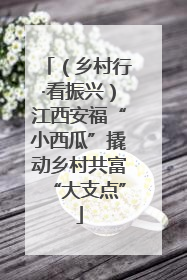 （乡村行·看振兴）江西安福“小西瓜”撬动乡村共富“大支点”