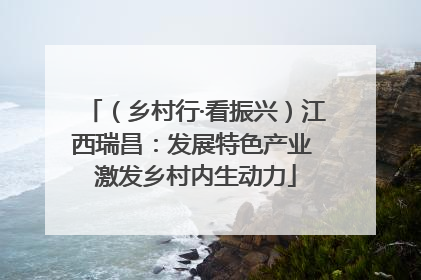 （乡村行·看振兴）江西瑞昌：发展特色产业 激发乡村内生动力