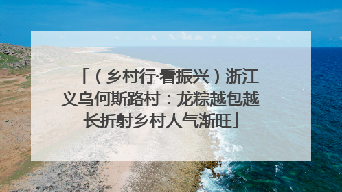 （乡村行·看振兴）浙江义乌何斯路村：龙粽越包越长折射乡村人气渐旺