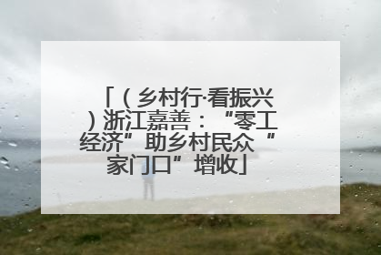 （乡村行·看振兴）浙江嘉善：“零工经济”助乡村民众“家门口”增收