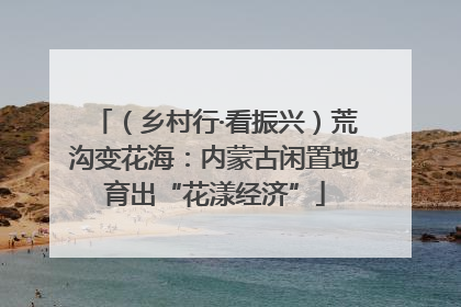 （乡村行·看振兴）荒沟变花海：内蒙古闲置地育出“花漾经济”