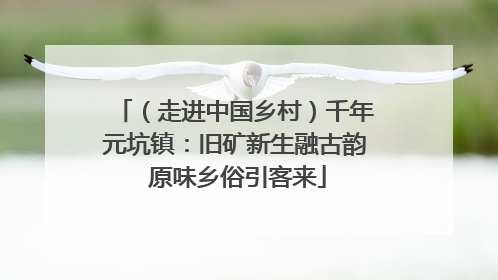 （走进中国乡村）千年元坑镇：旧矿新生融古韵 原味乡俗引客来