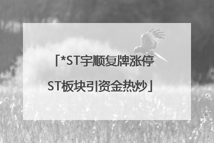 *ST宇顺复牌涨停 ST板块引资金热炒