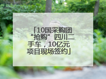 10国采购团“抢购”四川二手车，10亿元项目现场签约