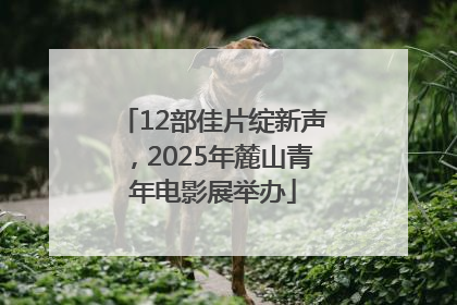 12部佳片绽新声，2025年麓山青年电影展举办