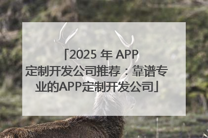 2025 年 APP 定制开发公司推荐：靠谱专业的APP定制开发公司