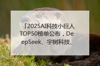 2025AI科技小巨人TOP50榜单公布，DeepSeek、宇树科技、蘑菇车联等企业荣誉上榜