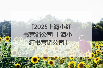 2025上海小红书营销公司 上海小红书营销公司