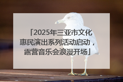 2025年三亚市文化惠民演出系列活动启动，露营音乐会浪漫开场