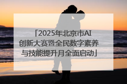 2025年北京市AI创新大赛暨全民数字素养与技能提升月全面启动