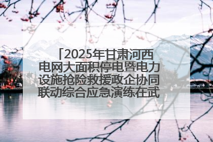 2025年甘肃河西电网大面积停电暨电力设施抢险救援政企协同联动综合应急演练在武威成功举行