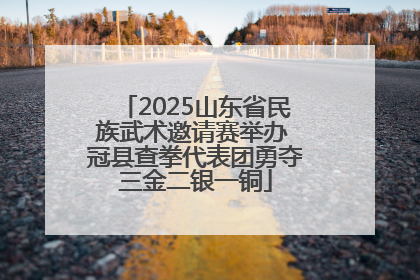 2025山东省民族武术邀请赛举办 冠县查拳代表团勇夺三金二银一铜