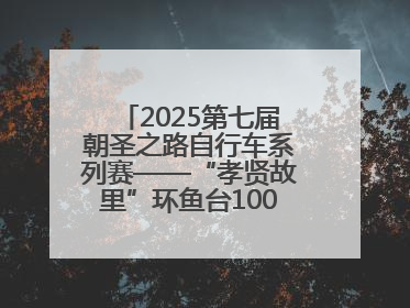 2025第七届朝圣之路自行车系列赛——“孝贤故里”环鱼台100公里挑战赛启幕