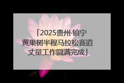 2025贵州·镇宁黄果树半程马拉松赛道丈量工作圆满完成