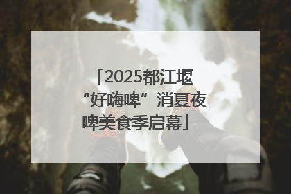 2025都江堰“好嗨啤”消夏夜啤美食季启幕
