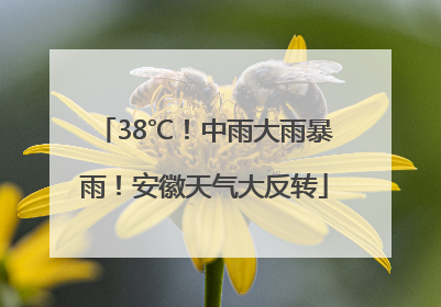 38℃！中雨大雨暴雨！安徽天气大反转