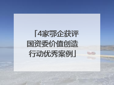 4家鄂企获评国资委价值创造行动优秀案例