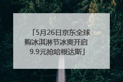 5月26日京东全球购冰淇淋节冰爽开启 9.9元抢哈根达斯