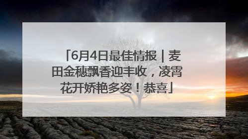 6月4日最佳情报｜麦田金穗飘香迎丰收，凌霄花开娇艳多姿！恭喜