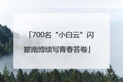 700名“小白云”闪耀南博续写青春答卷