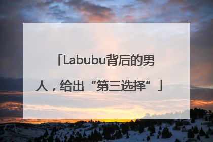 Labubu背后的男人，给出“第三选择”