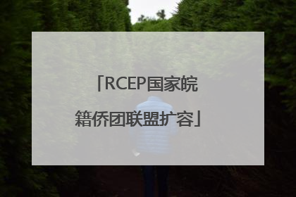 RCEP国家皖籍侨团联盟扩容